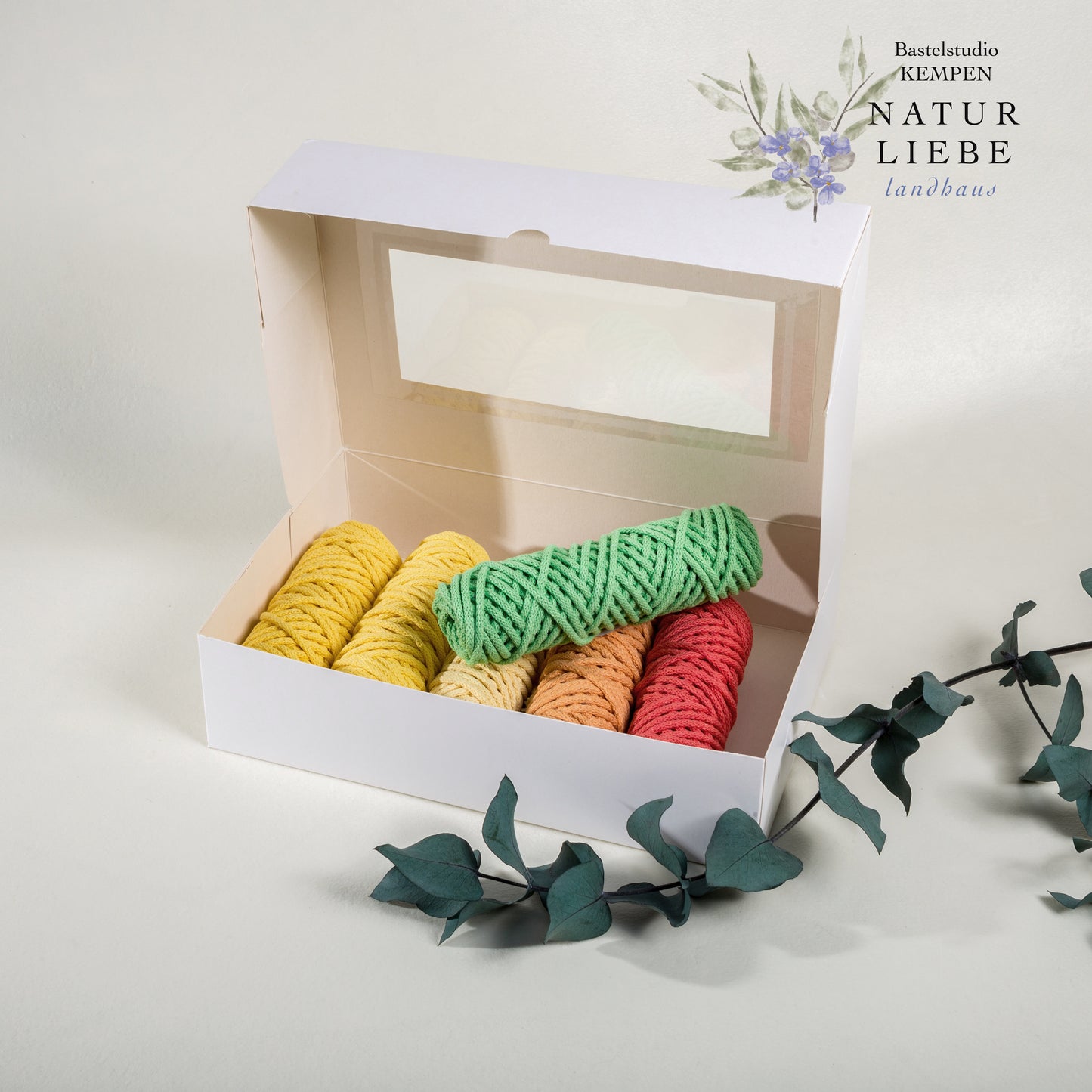 Makramee Garn Set KAKTUS | Stärke 3 mm, geflochten | Länge 25 Meter | 6 Farben