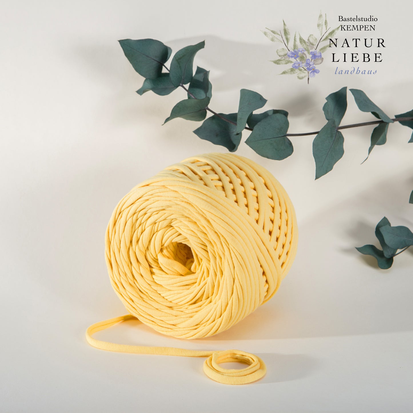 T-Shirt Garn | 100% Baumwolle | Stärke 6 mm | Länge 100 Meter | 360 Gramm | Verschiedene Farben