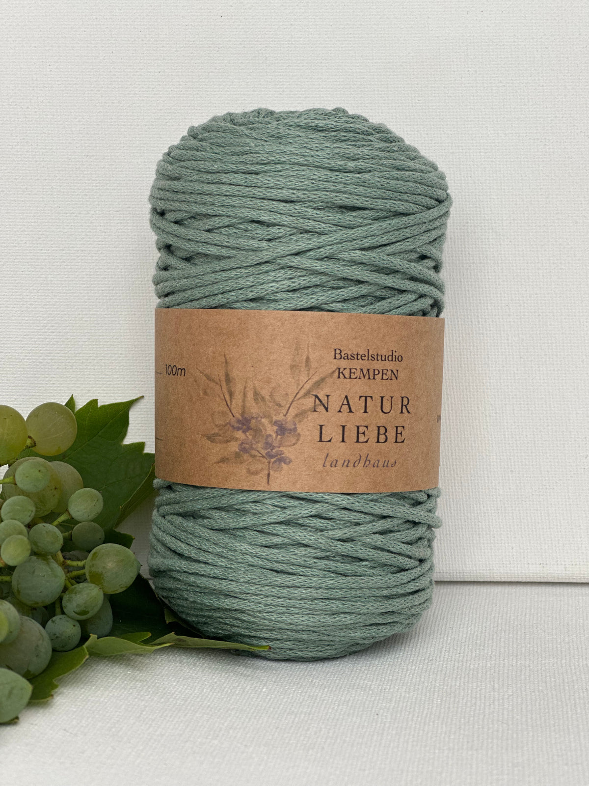 Flechtkordel Premium| 100% Baumwolle | Stärke 2 mm, geflochten | Länge 100 Meter | Verschiedene Farben