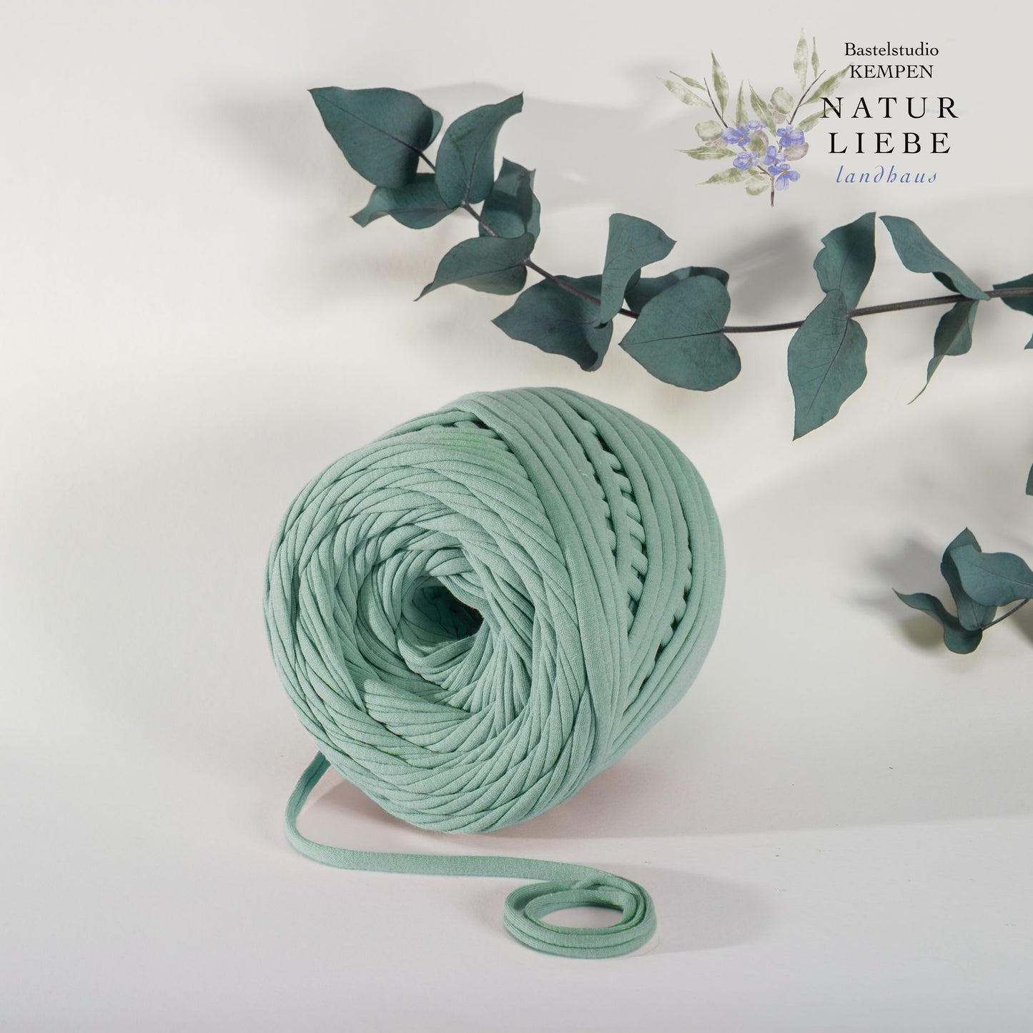 T-Shirt Garn | 100% Baumwolle | Stärke 6 mm | Länge 100 Meter | 360 Gramm | Verschiedene Farben