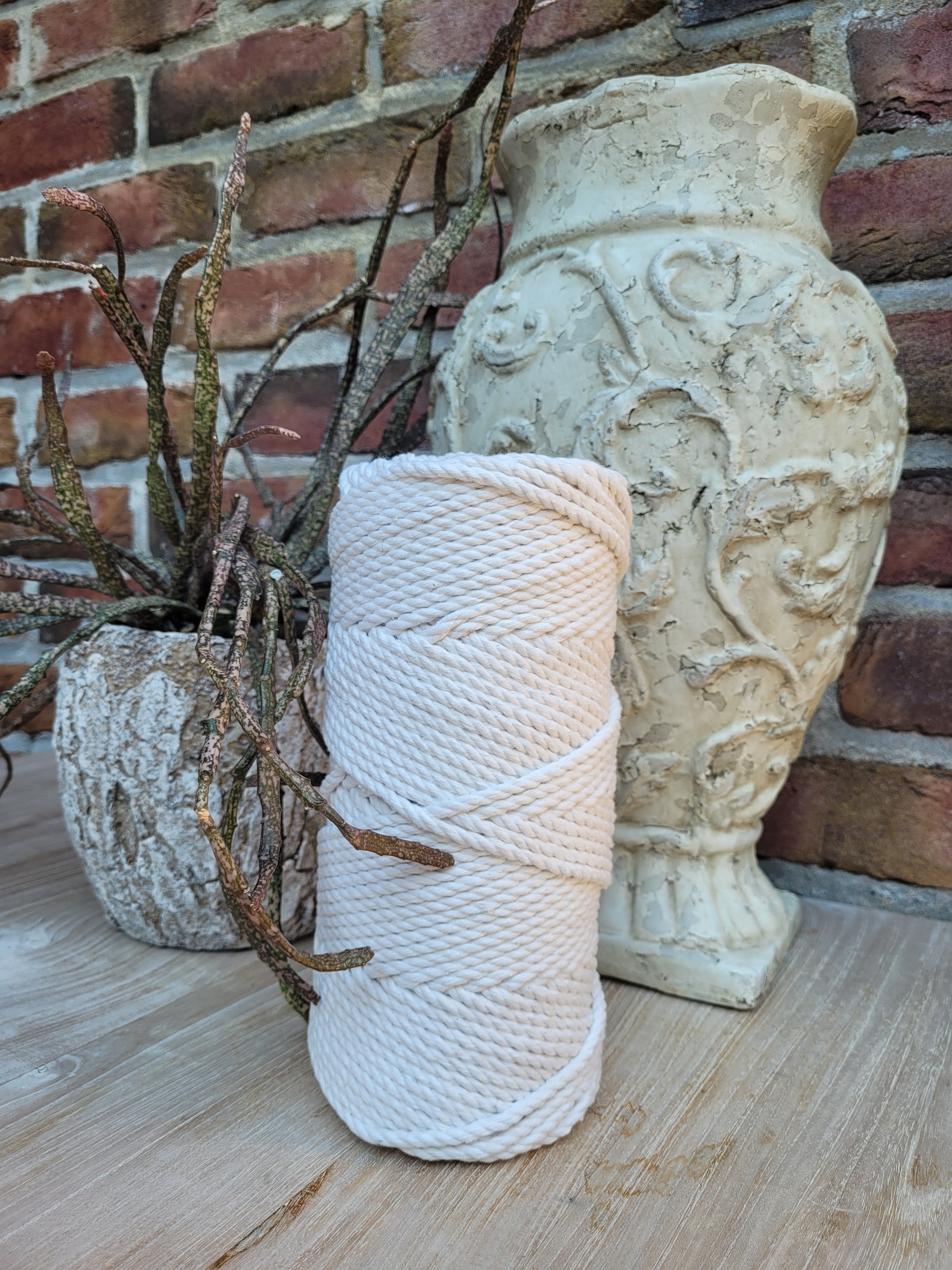 Bobbiny Baumwollseil 5 Mm – 100 Meter Natur, 100% Baumwolle, Für Basteln, DIY & Dekoration